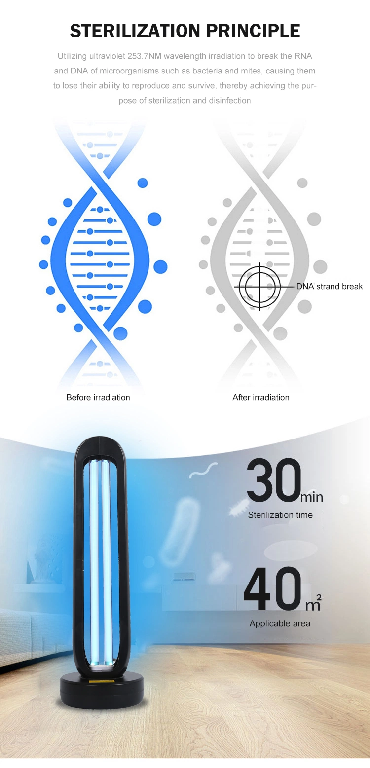 Hot Sell Professional School Germicidal Sterilization Ultraviolet UV Lamp